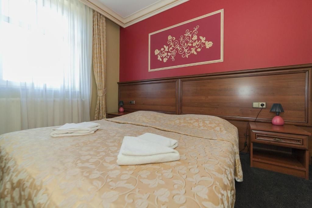 Отель Hotel przy Młynie Рыбник-51